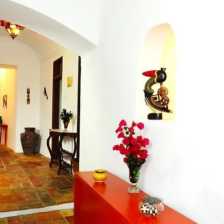 Guest house Casa Da Avo Nina 4*